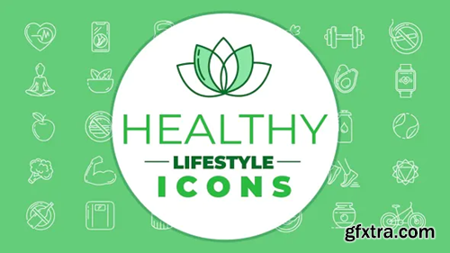 Videohive Healthy Lifestyle Icons Pack 29911617