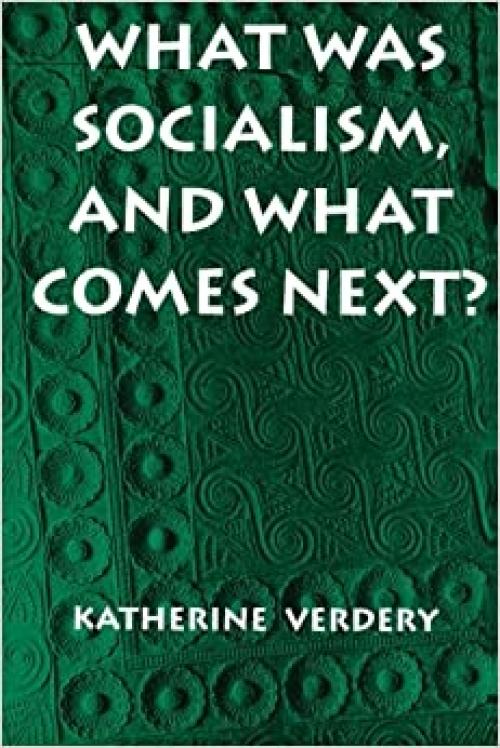What Was Socialism, and What Comes Next? (Princeton Studies in Culture/Power/History)