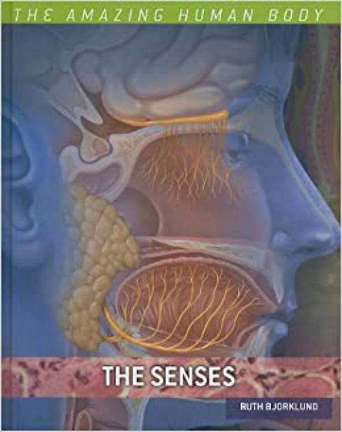 The Senses (Amazing Human Body)