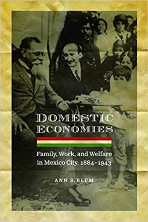 Domestic Economies: Family, Work, and Welfare in Mexico City, 1884-1943 (Engendering Latin America)