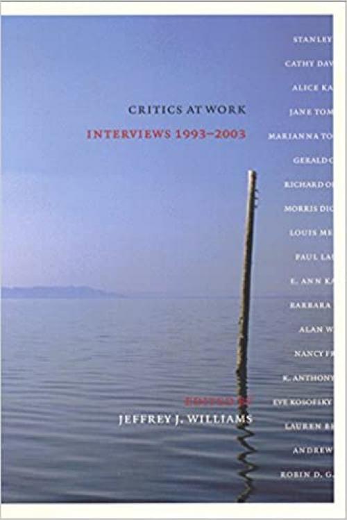Critics at Work: Interviews 1993-2003 (Cultural Front, 2)