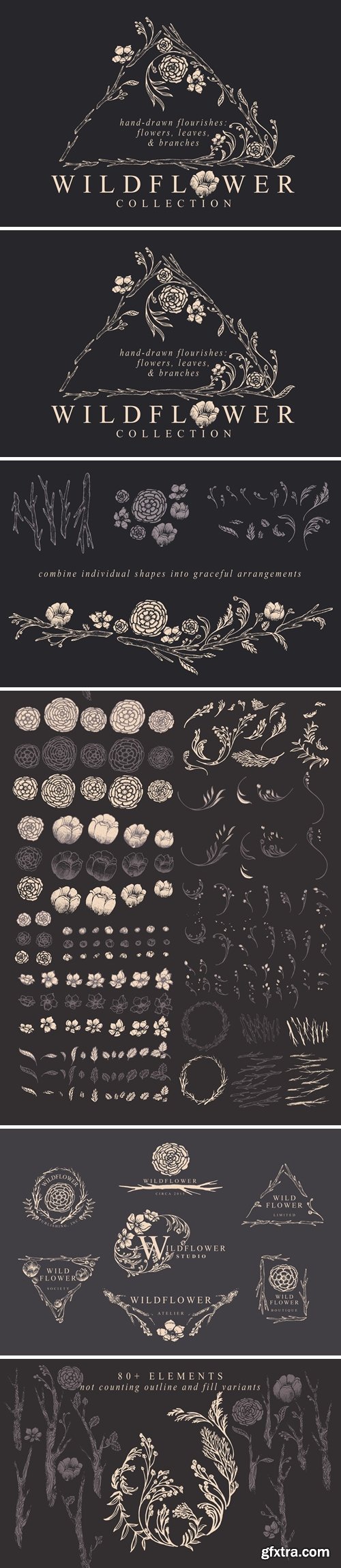 Wildflower Floral Illustrations & Templates