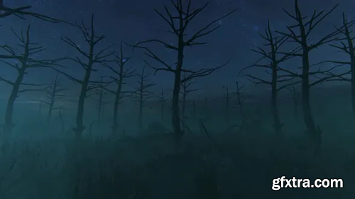 Videohive Scary Forest At Night 2K 30127119