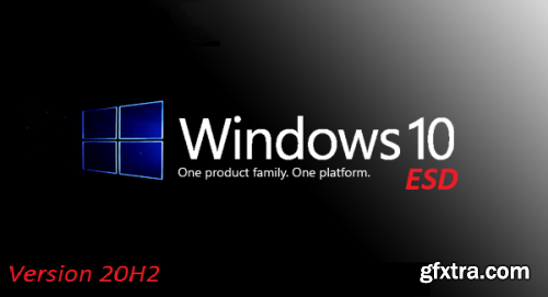 Windows 10 20H2 10.0.19042.74 10in1 OEM en-US Preactivated January 2021