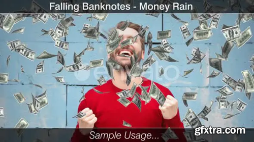 Videohive Money Rain Dollars 30332062