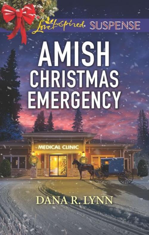Amish Christmas Emergency - Dana R. Lynn