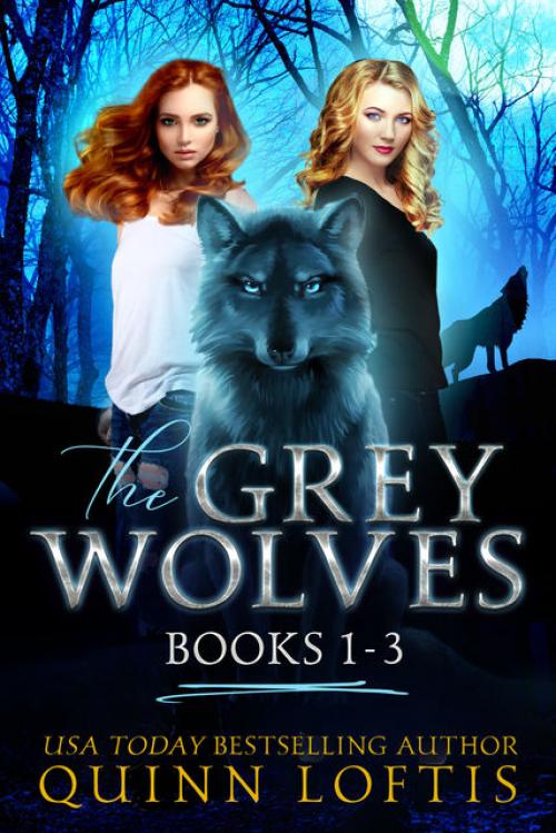The Grey Wolves Series Collection Books 1–3 - Quinn Loftis