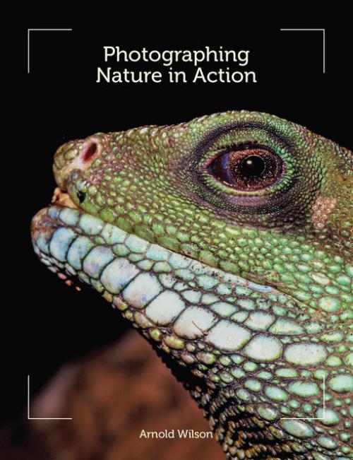 Photographing Nature in Action - Arnold Wilson