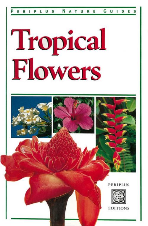 Tropical Flowers - William Warren