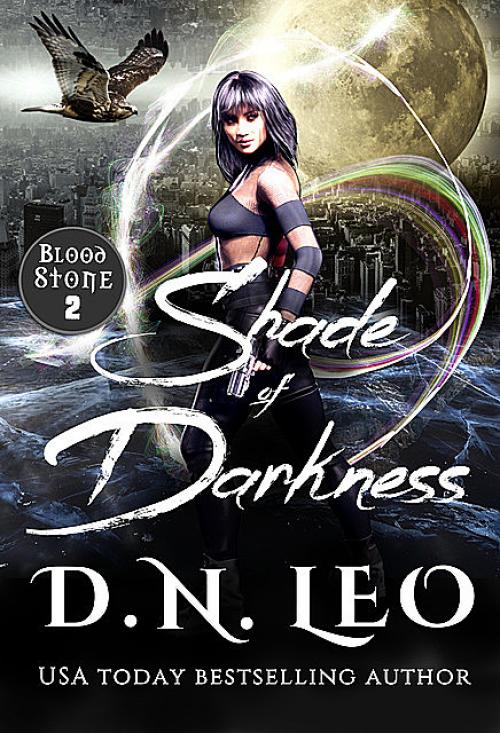 Shade of Darkness - D.N. Leo