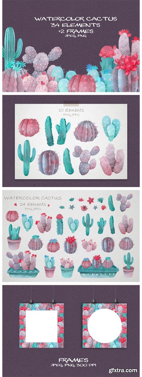 Violet Watercolor Cactus Clipart 8439734