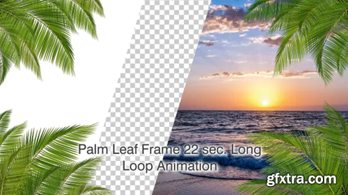 Videohive Palm Leaf Frame Loop 30402678