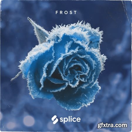 Splice Originals Frost February RnB