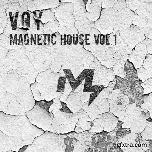Sample Market VOY Magnetic House Vol 1