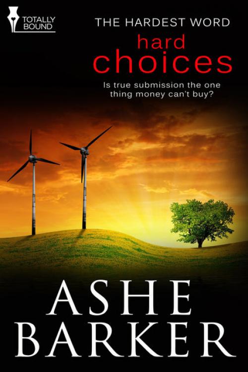 Hard Choices - Ashe Barker
