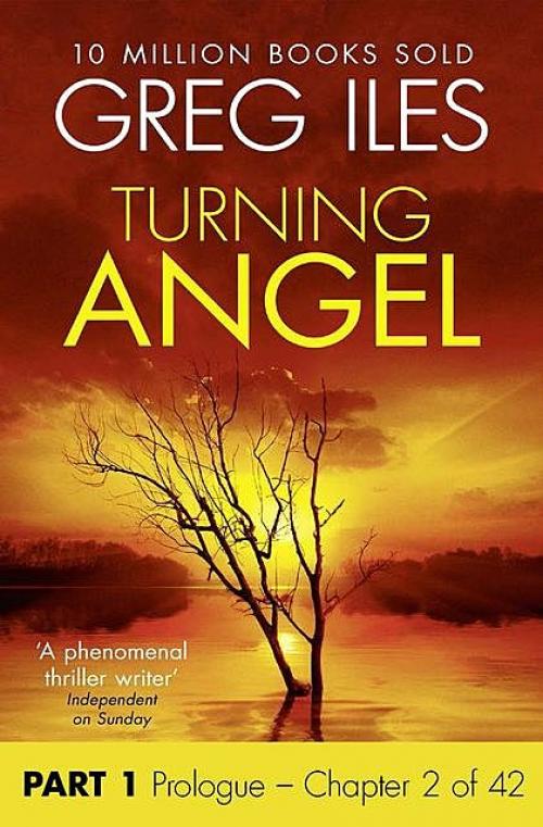 Turning Angel: Part 1, Prologue to Chapter 2 inclusive - Greg Iles