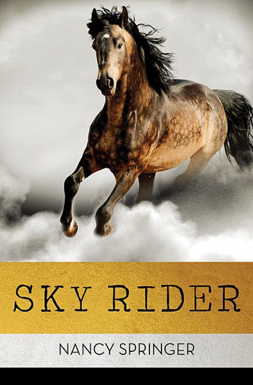 Sky Rider - Nancy Springer
