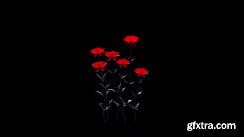 Videohive Red Fire Roses 30482507