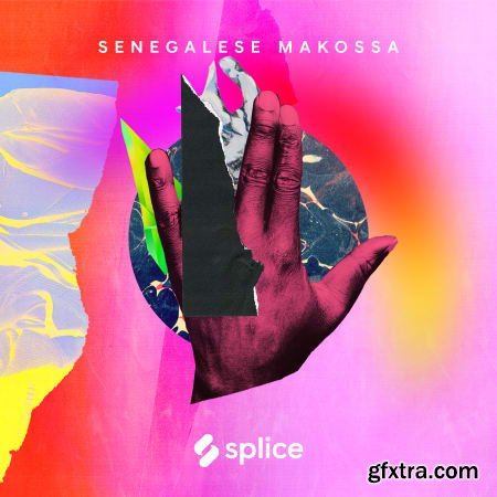 Splice Sessions Senegalese Makossa