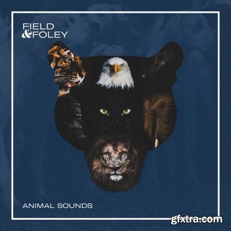 Field and Foley Animal Sounds