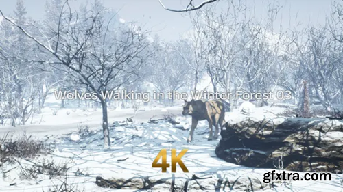 Videohive Wolves Walking In The Winter Forest 4K 03 30635950
