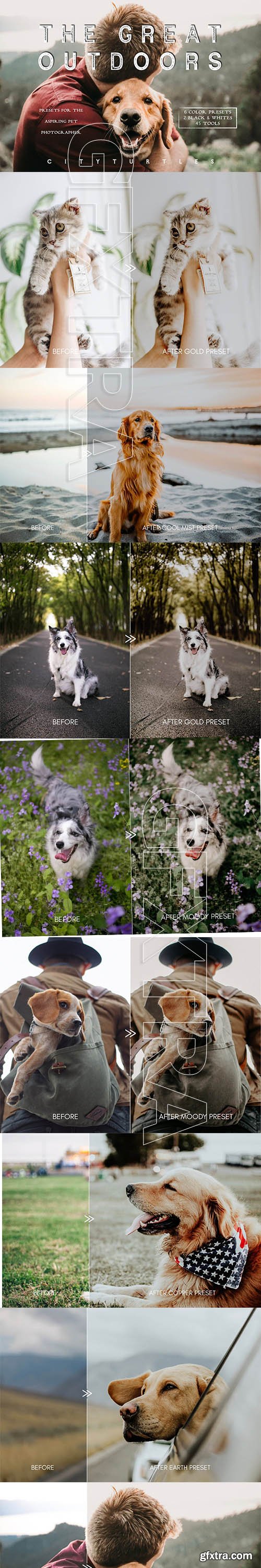CreativeMarket - Moody Pet Photography Kit Presets 5822617
