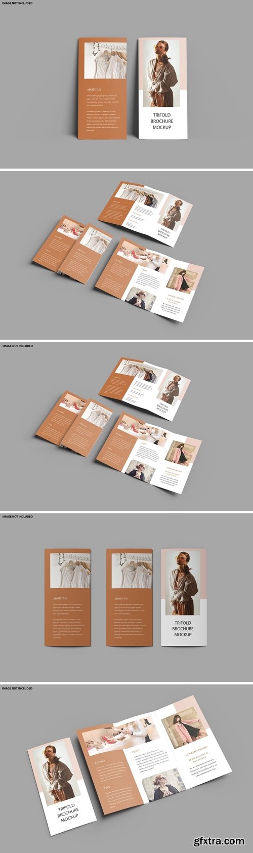 Tri-Fold Brochure Mockup