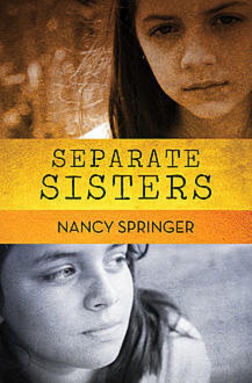 Separate Sisters -- - Nancy Springer