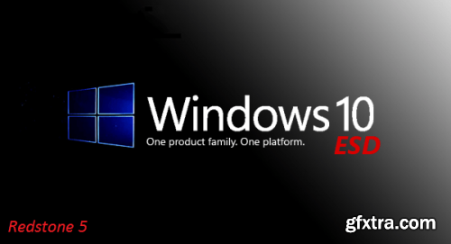 Windows 10 x64 RS5 Pro VL ESD Version 1809 Build 17763.1728 en-US Preactivated January 2021