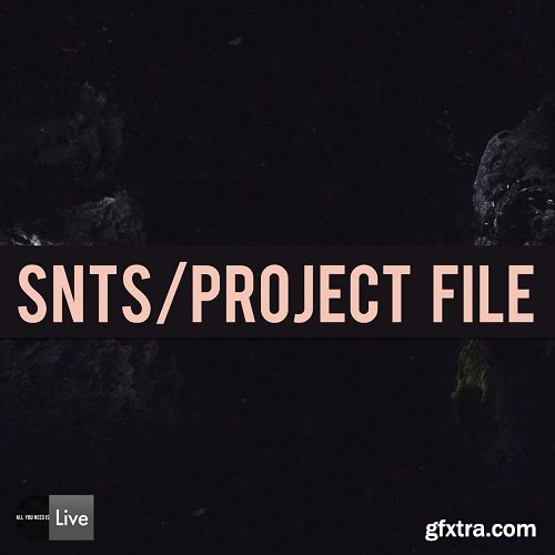 Audioreakt AYNIL SNTS Ableton Project