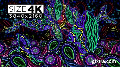 Videohive Ethnic Psychedelic 01 30450716