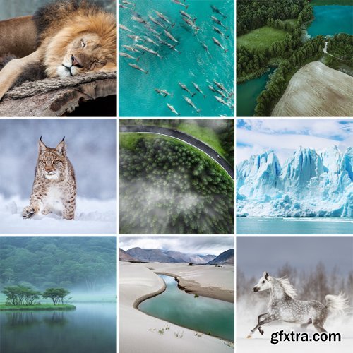 Phlearn Pro - Vibrant Nature LUTs for Photo & Video