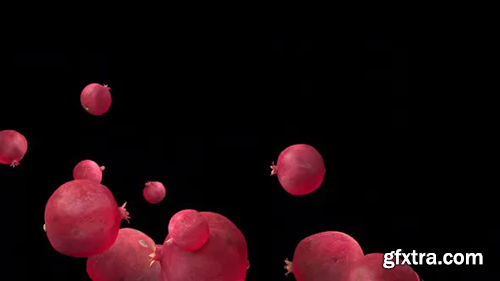 Videohive Pomegranate Fruit With Alpha Channel 31143170