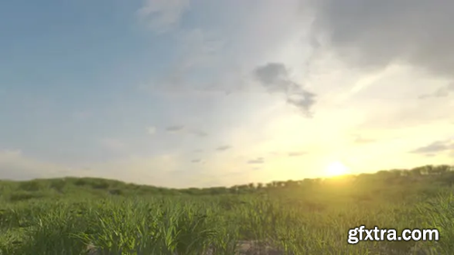 Videohive Growing Wheat Time-lapse 31143243
