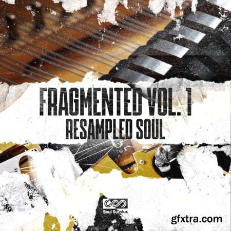 Soul Surplus Fragmented Vol 1 Resampled Soul