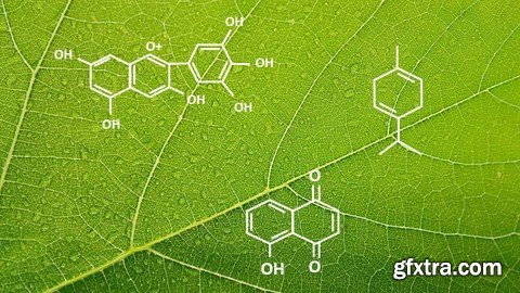 Introduction to the Science of Plant Chemistry