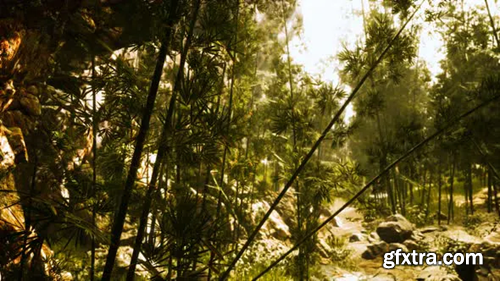 Videohive Green Bamboo Forest with Morning Sunlight 31253065