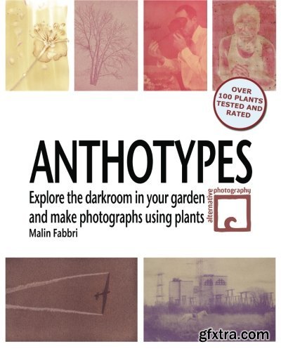 Anthotypes - Explore the darkroom in your garden and make photographs using plants