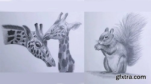 How to Draw and Sketch Animal with Pencil Step by Step