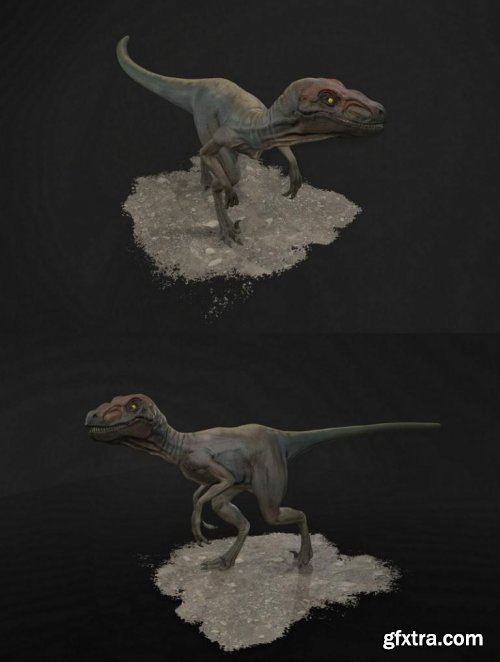 Raptor 3d model