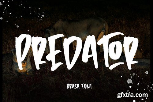 Predator - Brush Font