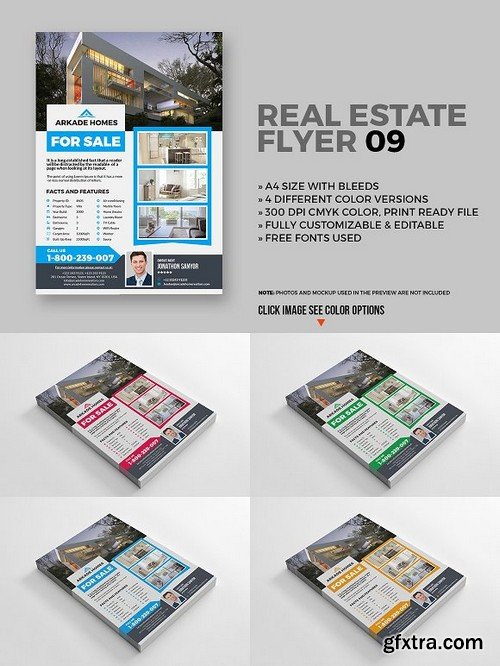 Real estate flyer 09