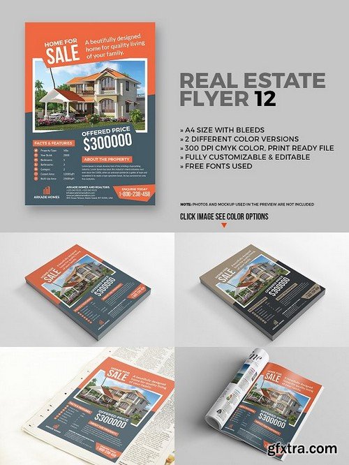 Real estate flyer 12