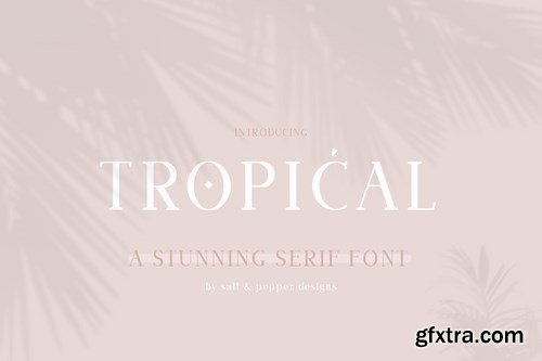 Tropical Serif Font