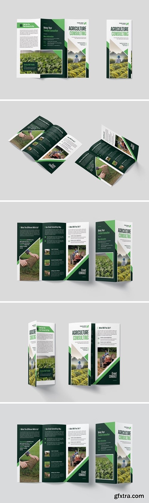 Agriculture Consulting Trifold Brochure