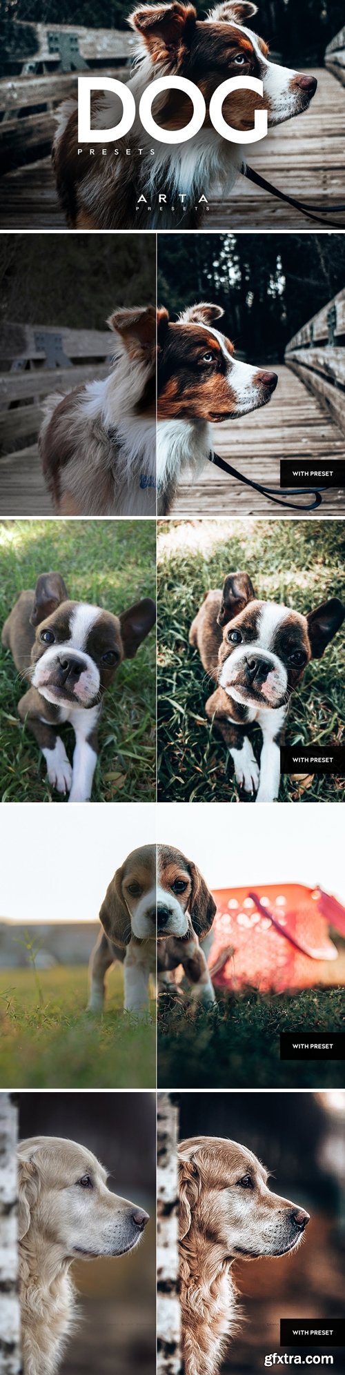 ARTA Dogs Presets For Mobile and Desktop