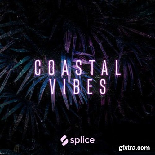 Splice Originals Coastal Vibes Reggaeton WAV