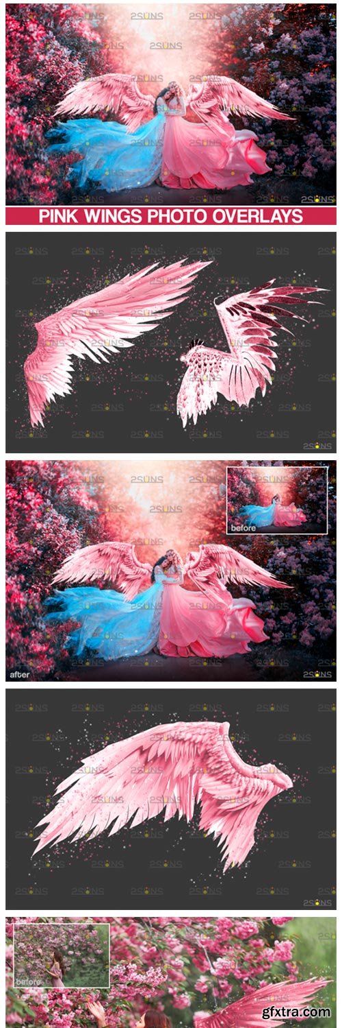 Pink Angel Wings Overlay 8559911