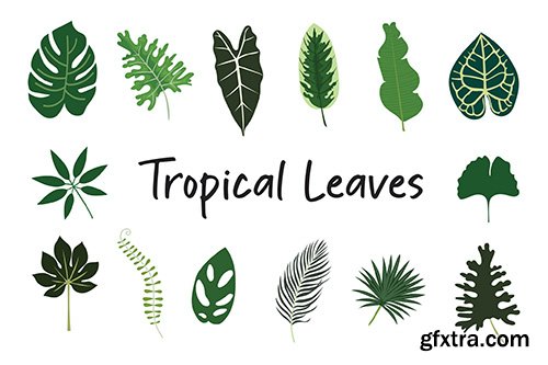 Tropical Leaves Hand Drawn