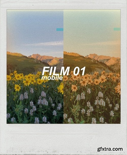 Alex Gowon - FILM 01 Mobile Preset